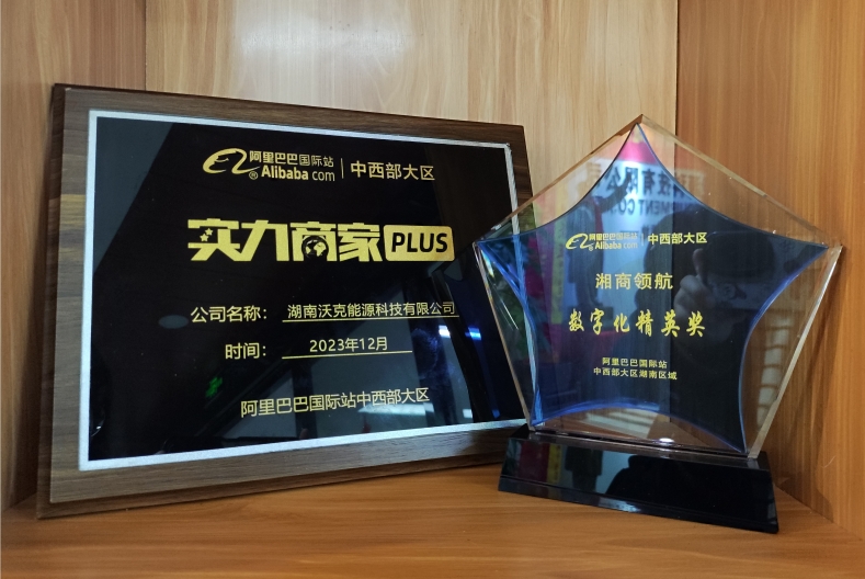 乘风破浪,逆势出海|MG不朽情缘能源获阿里巴巴中西部大区数字化精英奖！